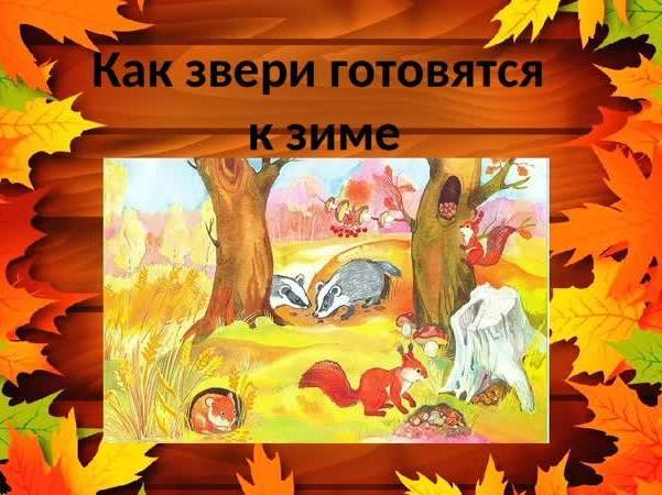 Как животные готовятся к зиме картинки для детей